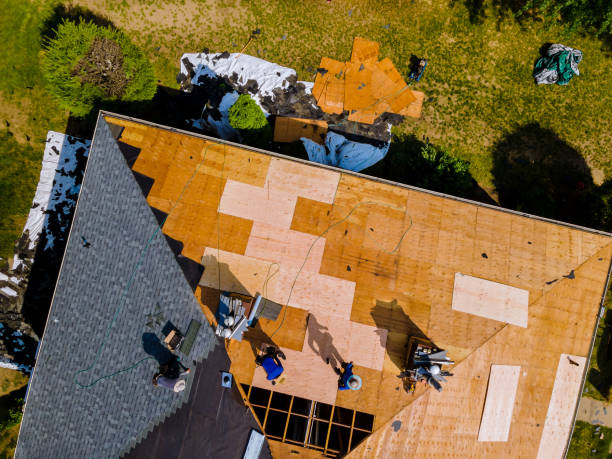 Best New Roof Installation  in Attica, MI