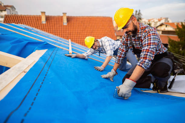 Best Flat Roof Repair Services  in Attica, MI